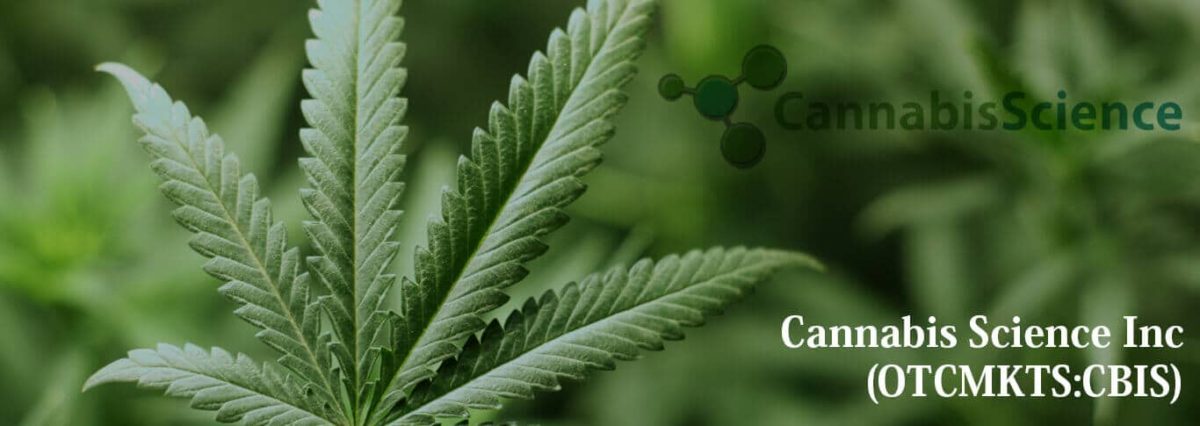 Cannabis Science Inc (OTCMKTS:CBIS) Subsidiary Buys Majority Shares of Jinvator