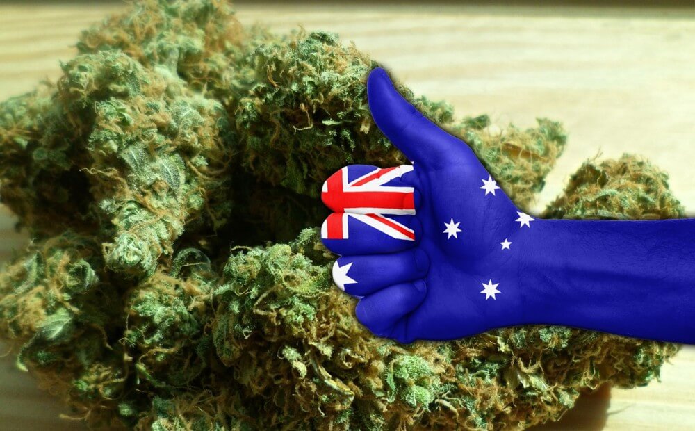 Australia Is Getting The First Major Commercial Shipments Of Cannabis Oil