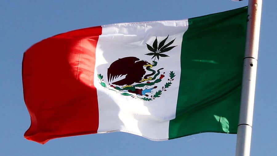 Mexico Just Passed A Bill To Approve Marijuana For Medical Use